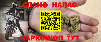 ГАЛЛЮЦИНОГЕННЫЕ ГРИБЫ Гатчина