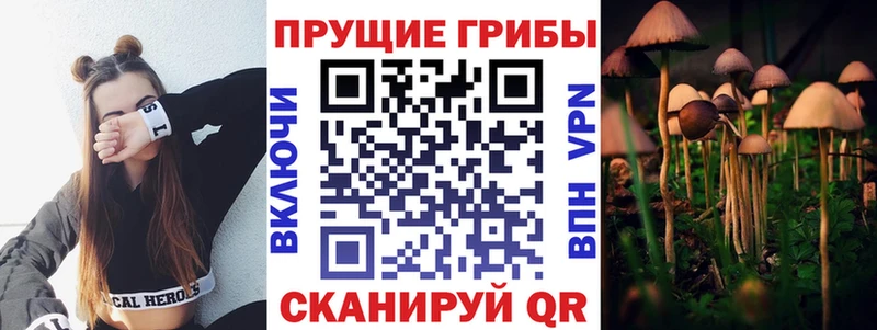 что такое наркотик  Зеленокумск  Псилоцибиновые грибы мицелий 