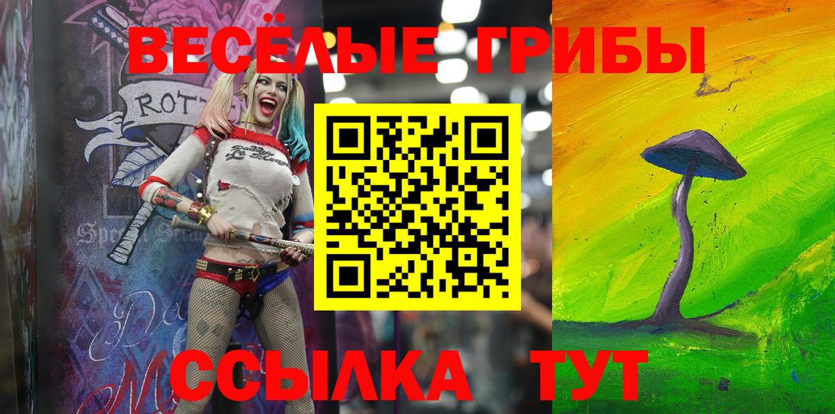Купить наркоту  Меф МЯУ МЯУ  А ПВП СК   ГАШИШ  Гашиш  МЕТ  Зеленокумск  Канабис  Меф   Вход с VPN 
