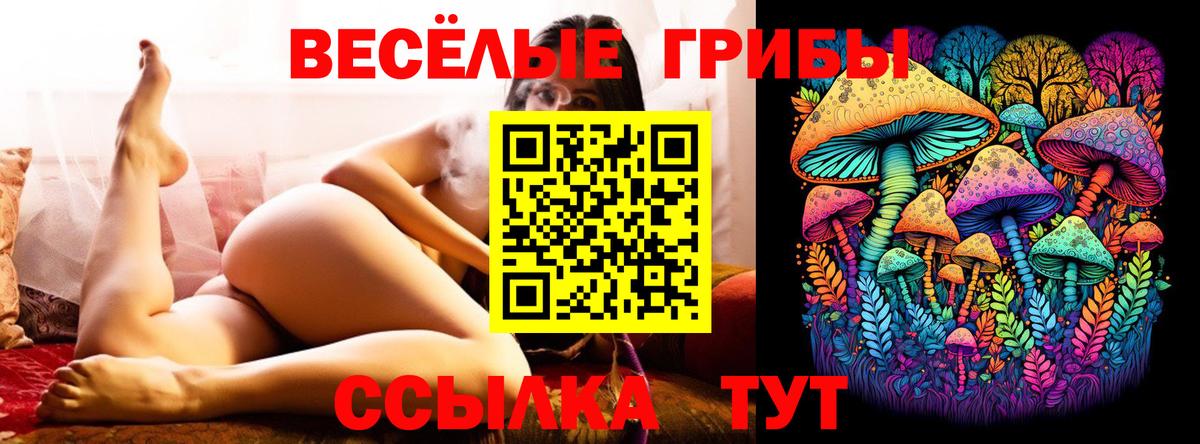 Зеленокумск  Галлюциногенные грибы ЛСД  Вход с VPN  Галлюциногенные грибы ЛСД 