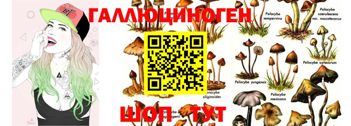 Галлюциногенные грибы MAGIC MUSHROOMS Зеленокумск